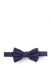 Load image into Gallery viewer, Giorgio Armani Ties Blue
